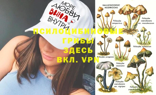 эйфоретик Армянск