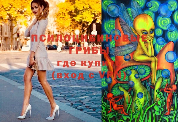 бошки Арсеньев